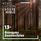 #13 Elena Álvarez - Bosques sostenibles, incendios forestales y cambio climático