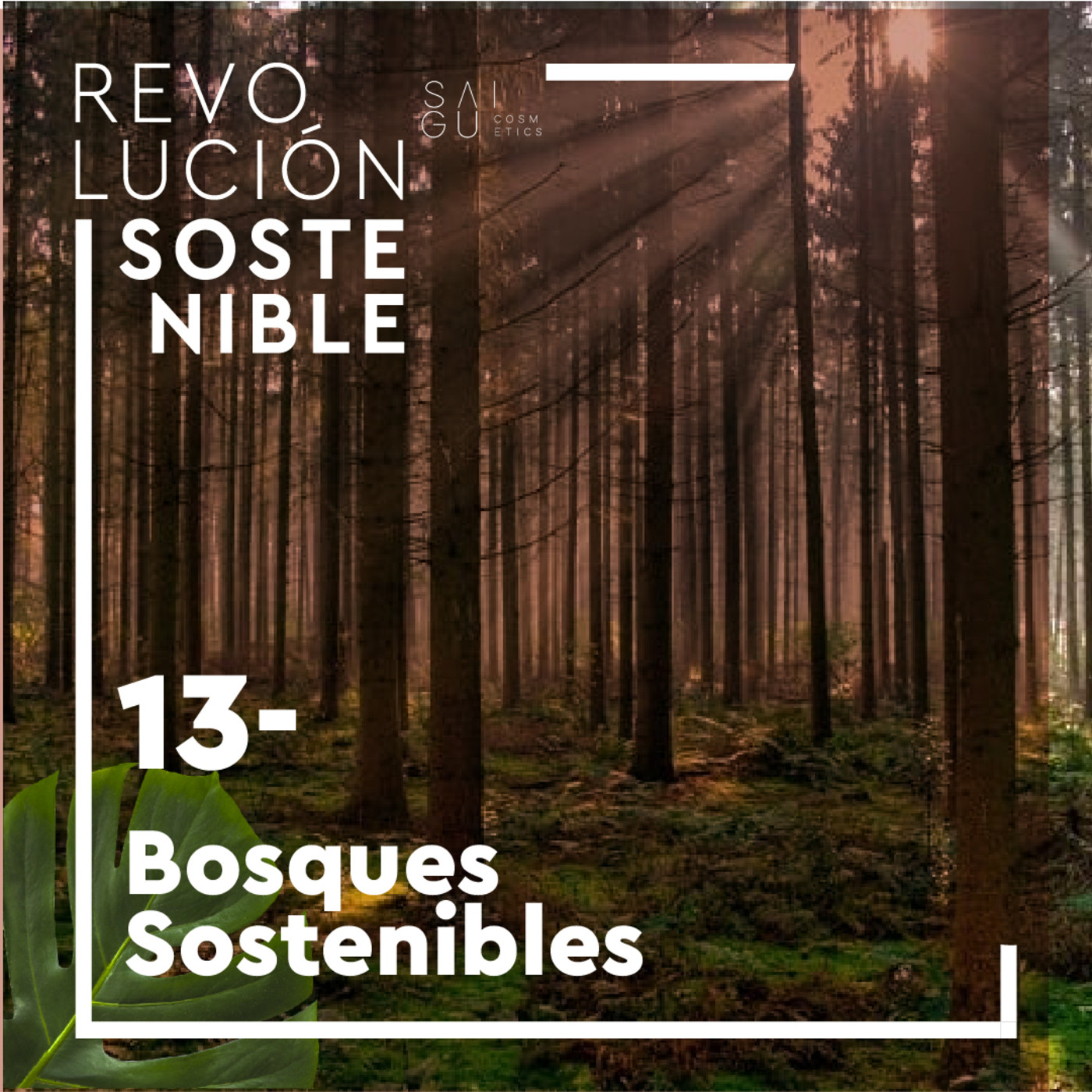 Revolución sostenible
