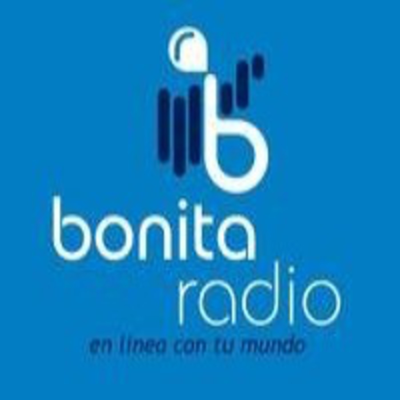 Corillo+Cota-Labor de los rescatistas independientes