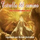 Estrella del camino Programa 23