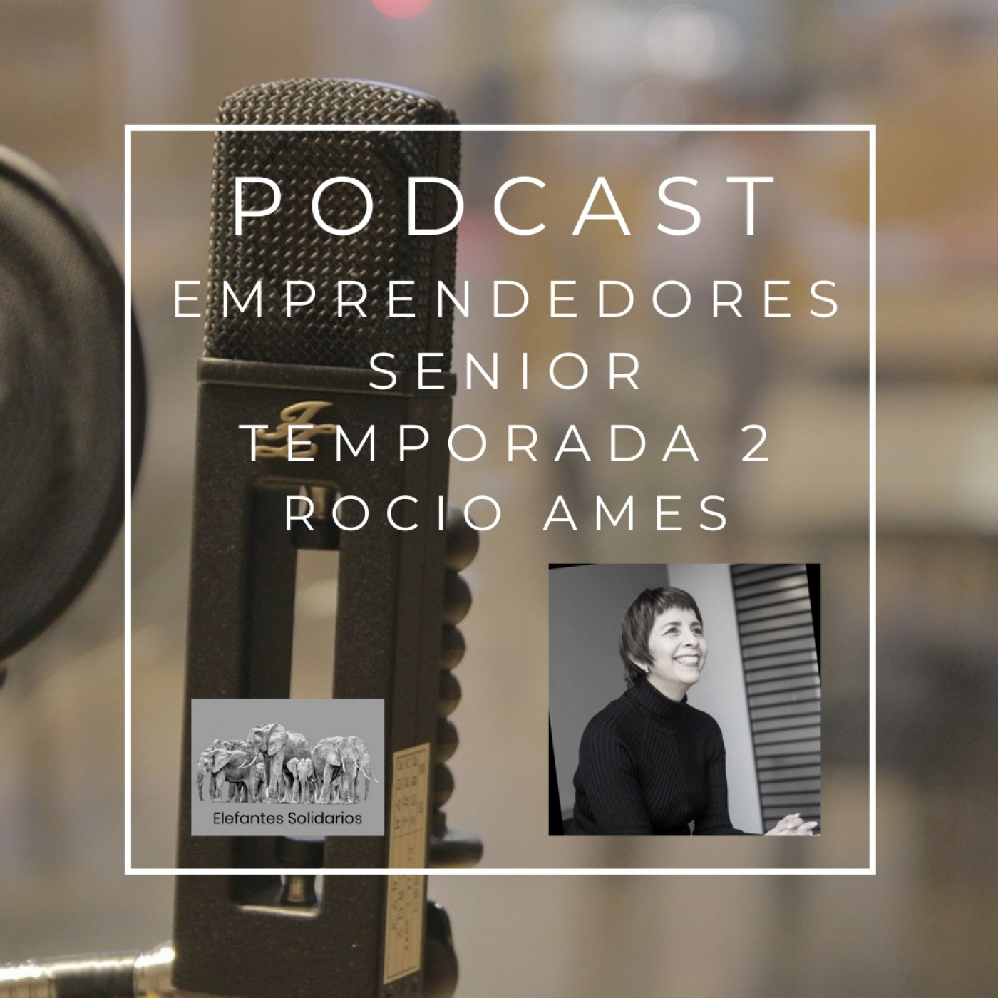 Episodio 13 - Rocio Ames - Cómo desarrollar mejor tu marca personal episode artwork