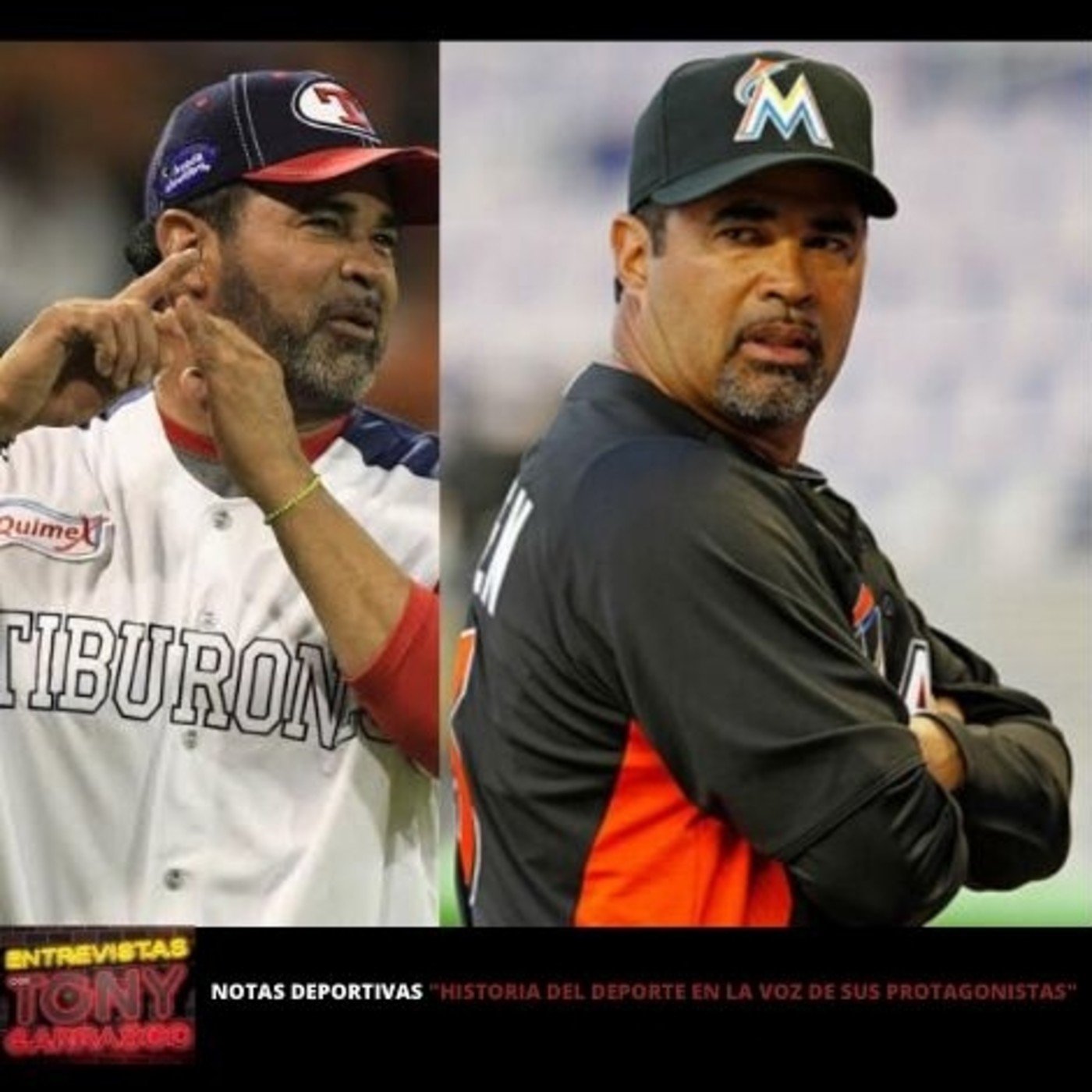 Tony Carrasco C