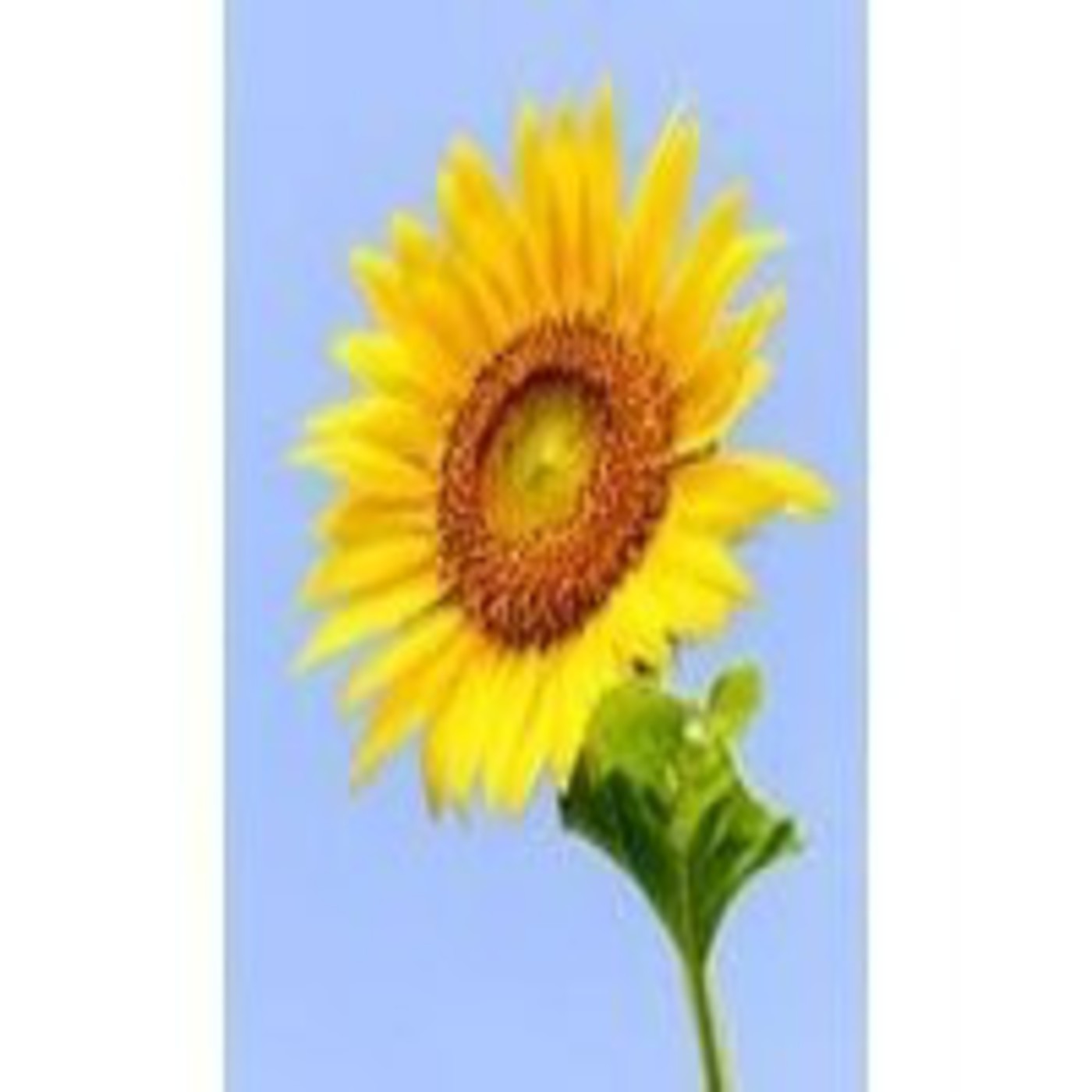 Podcast Audio Lecturas Nerim