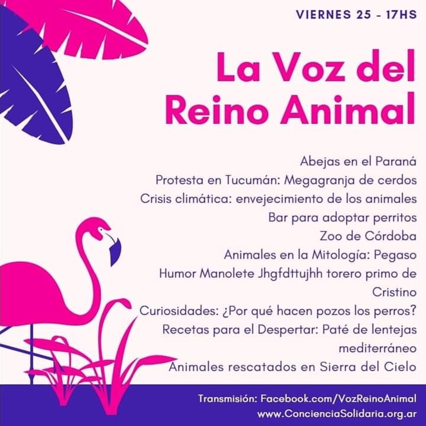 #LaVozDelReinoAnimal 25.09.2020 episode artwork