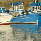 embed image
