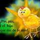 El Medio Pollico