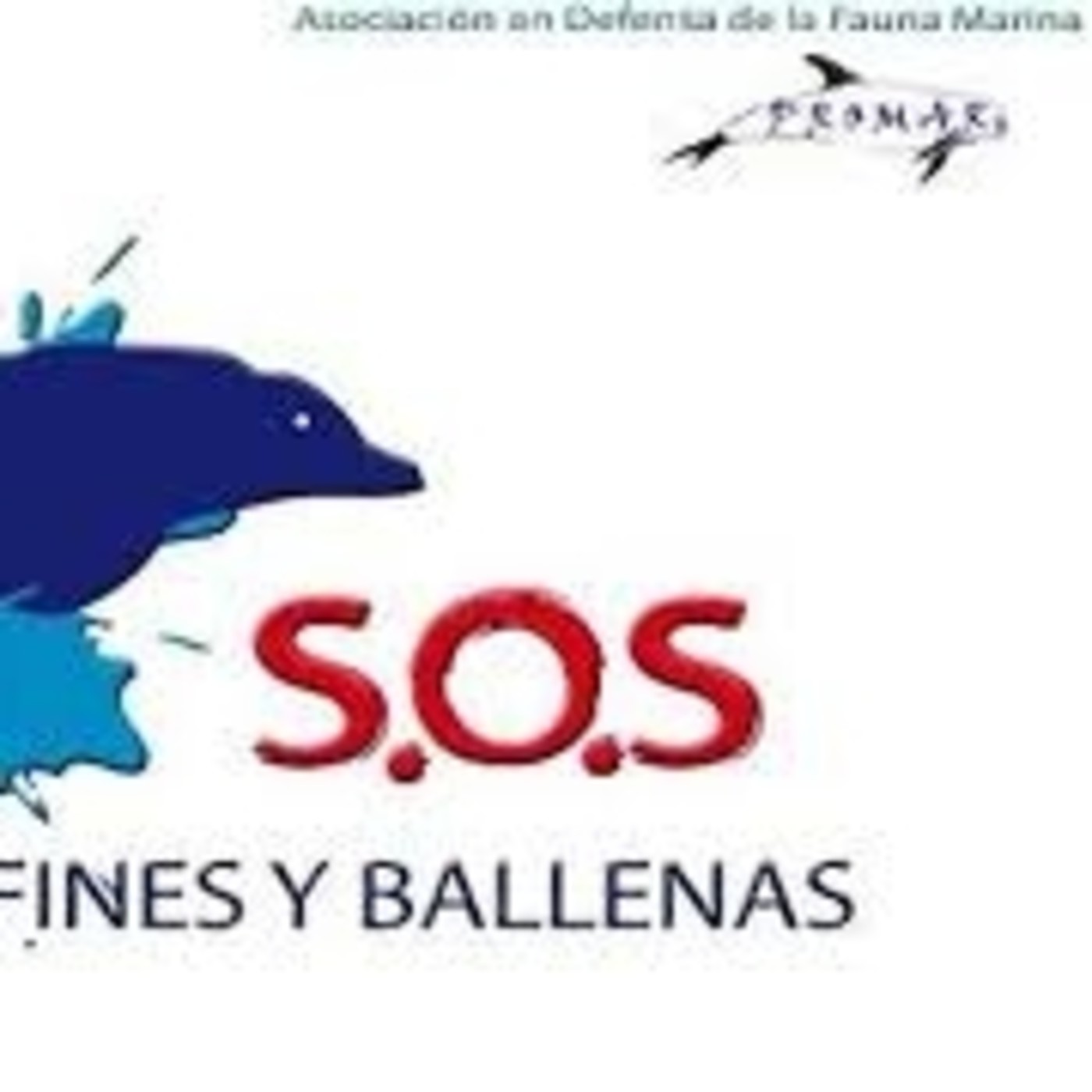 Podcast de GRANSEISMO