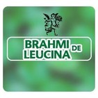 El Ángel de tu Salud - BRAHMI CON LEUCINA