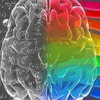 Suplementos para Mejorar tu Rendimiento Mental