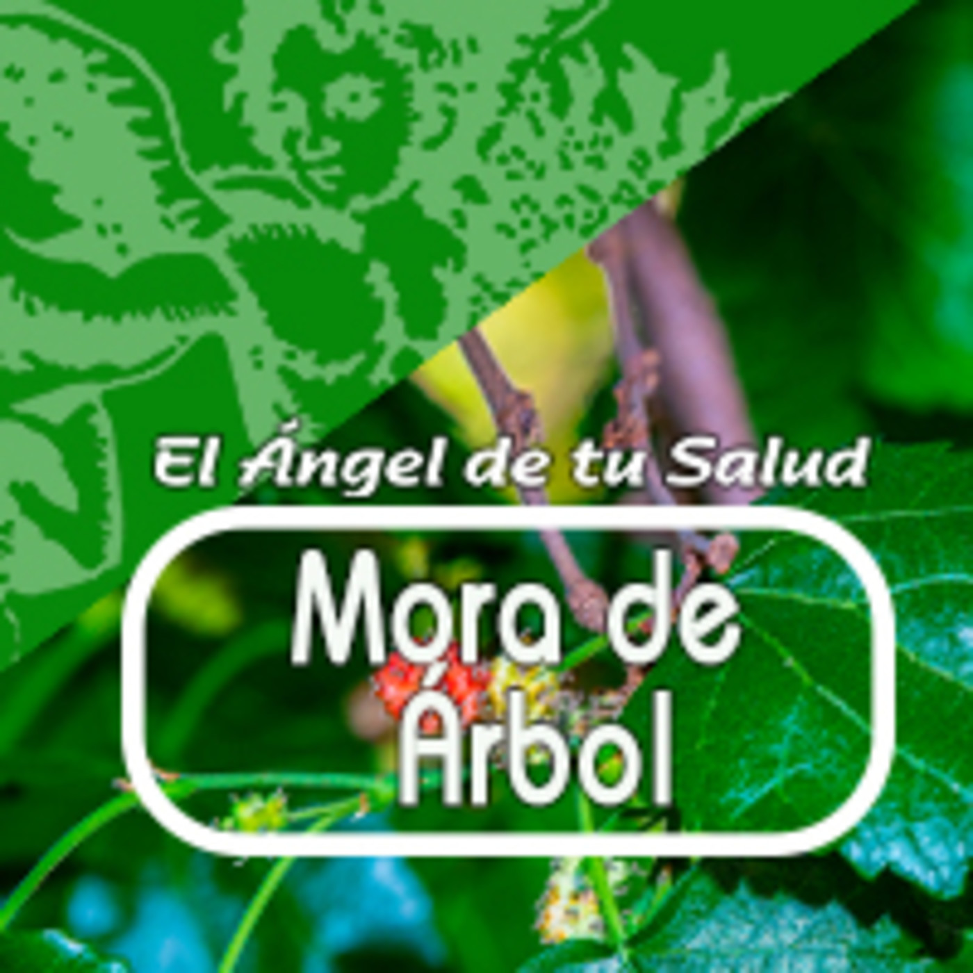 El Ángel de tu Salud - MORA DE ÁRBOL episode artwork
