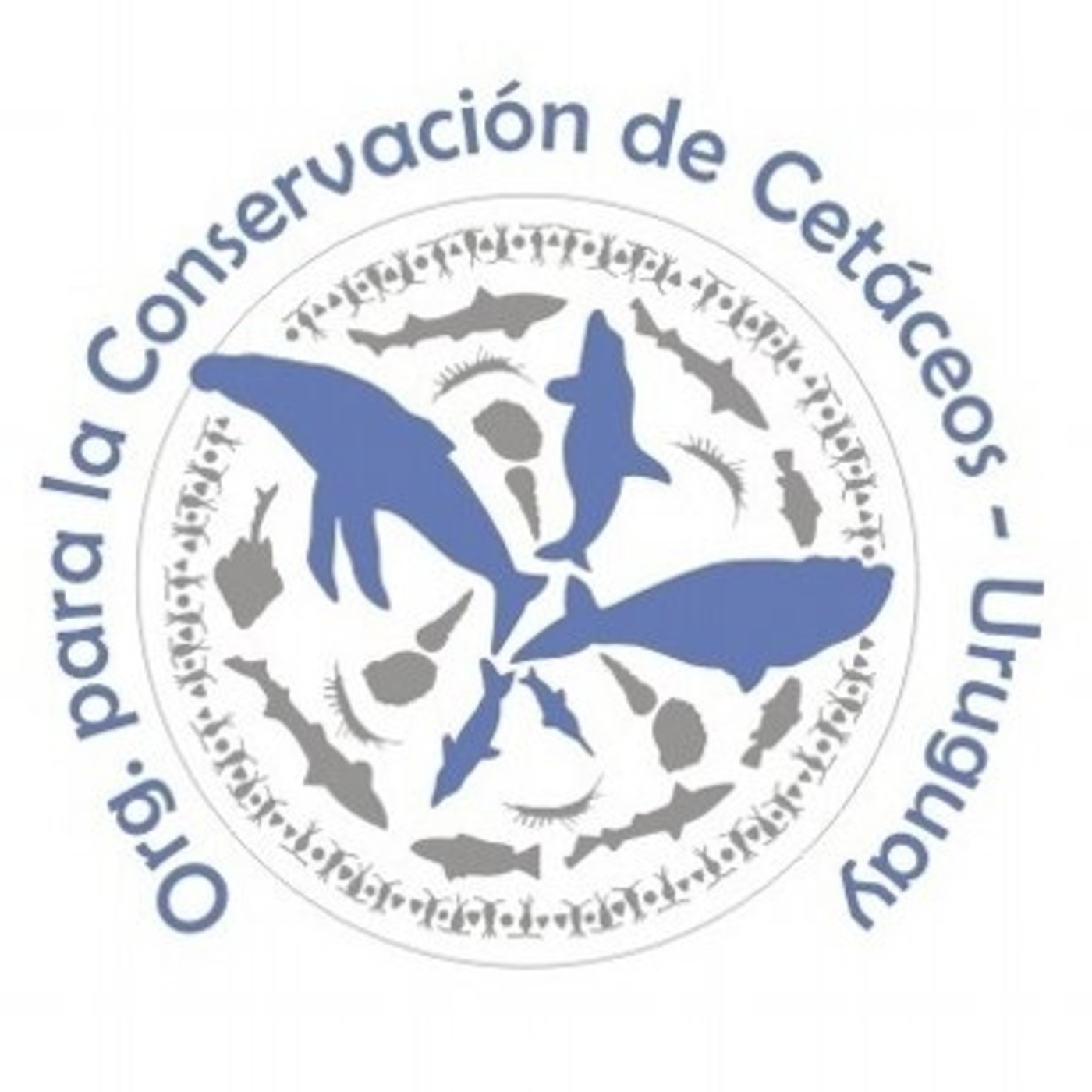 Al otro lado del espejo - Materia reservada