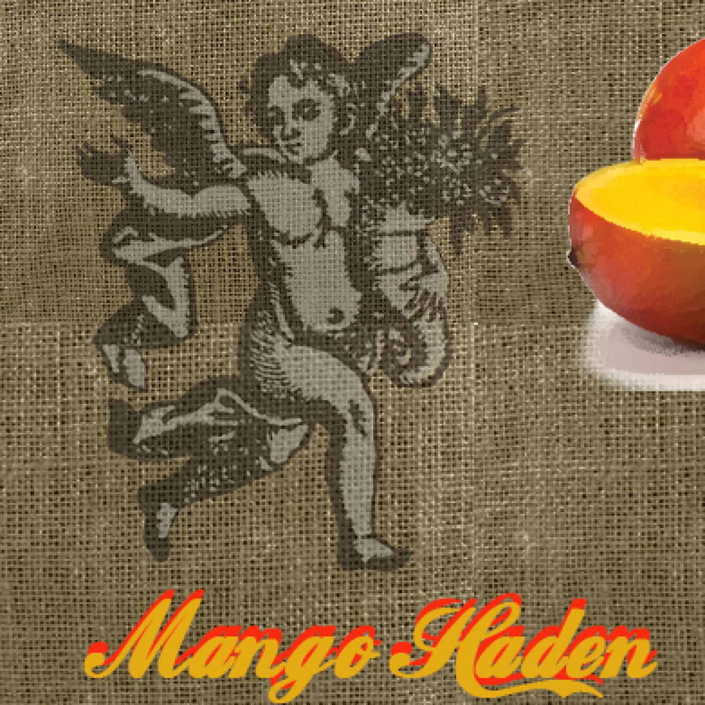EL ÁNGEL DE TU SALUD- Rodrigo Mondragón - MANGO HADEN episode artwork