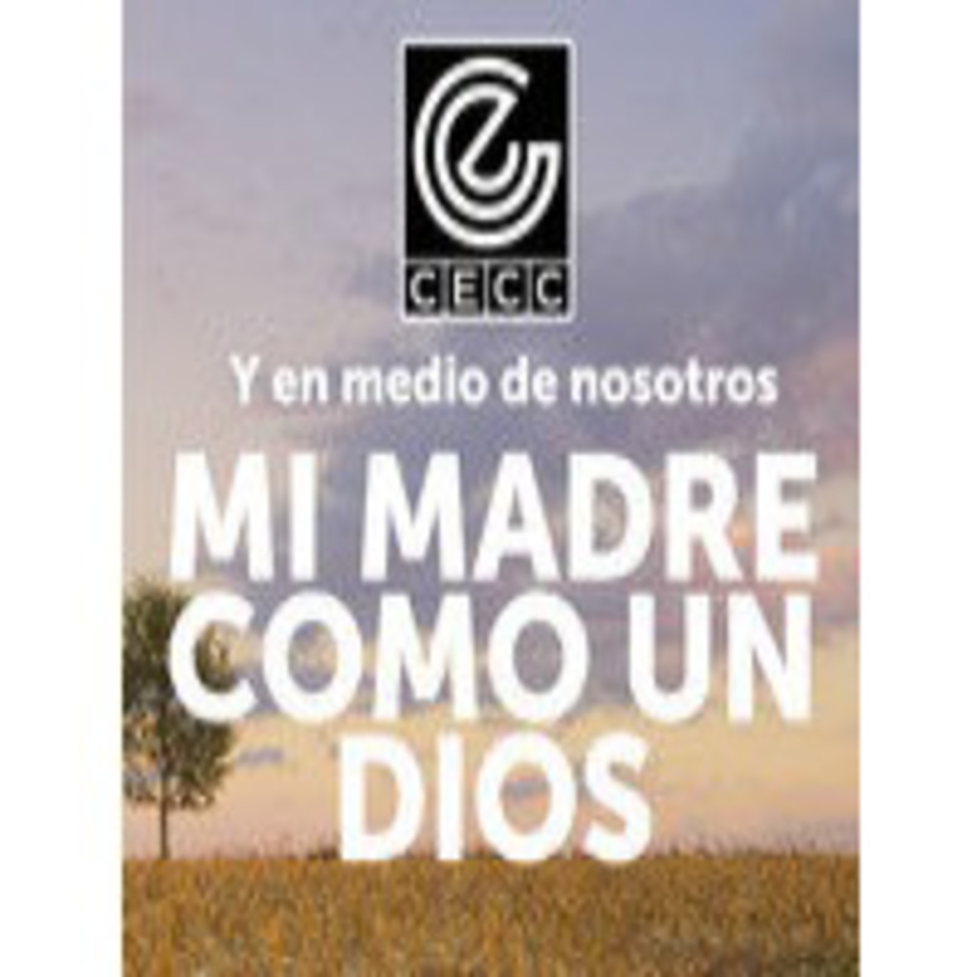 Capítulo 1: “Agustín bajaba a caballo”