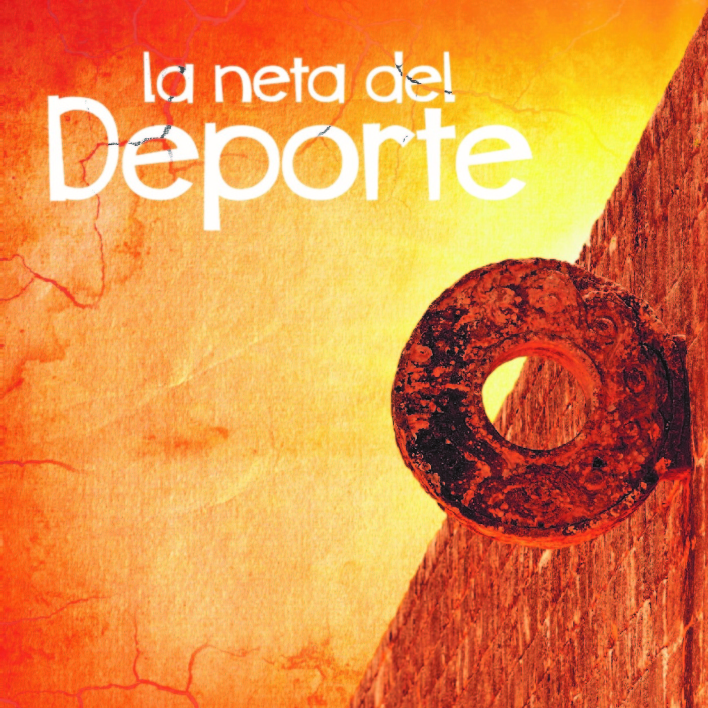 La neta del deporte