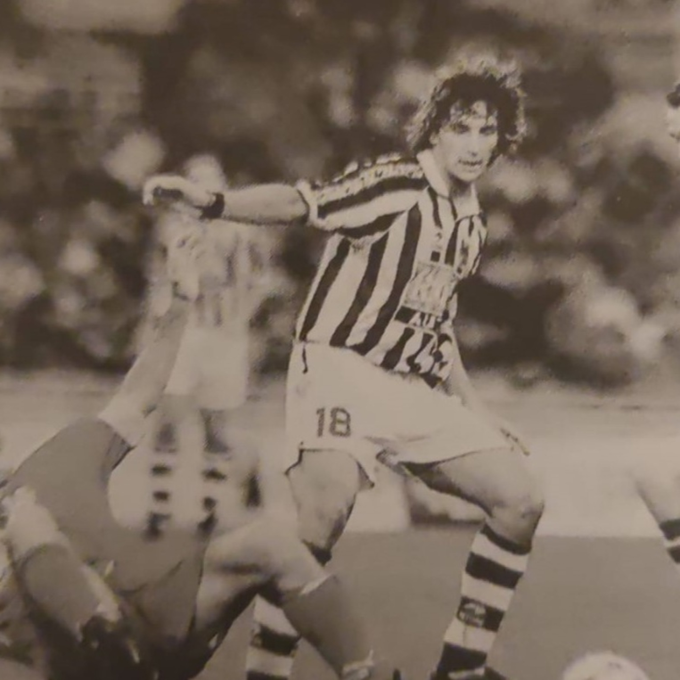 Corazón Txuri Urdin