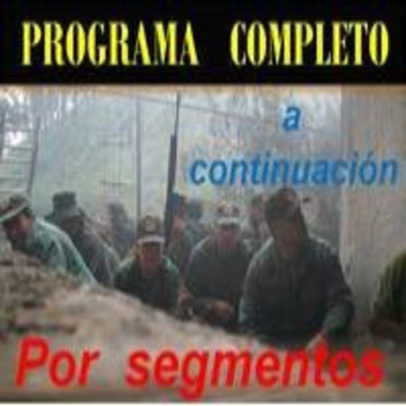 Z. La Milicia Somos Todos