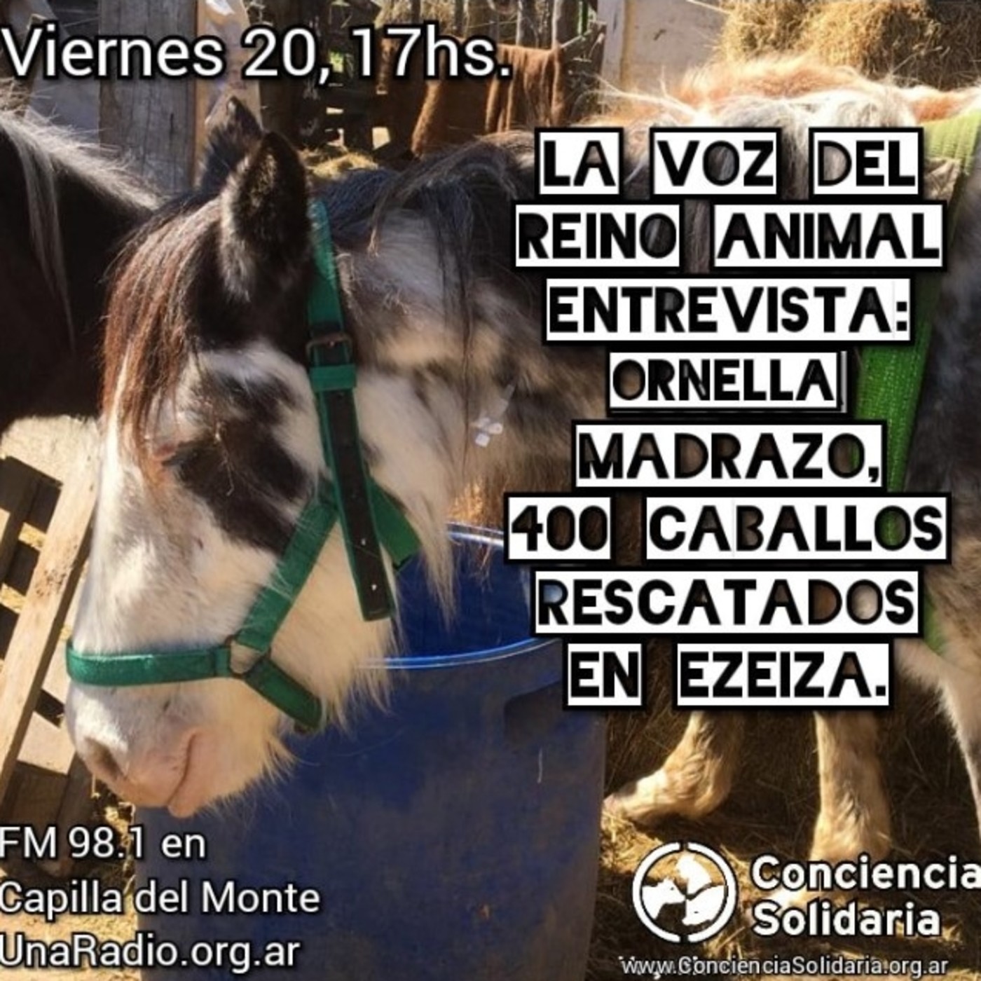 Extracto de #LaVozDelReinoAnimal 20.09.19 episode artwork