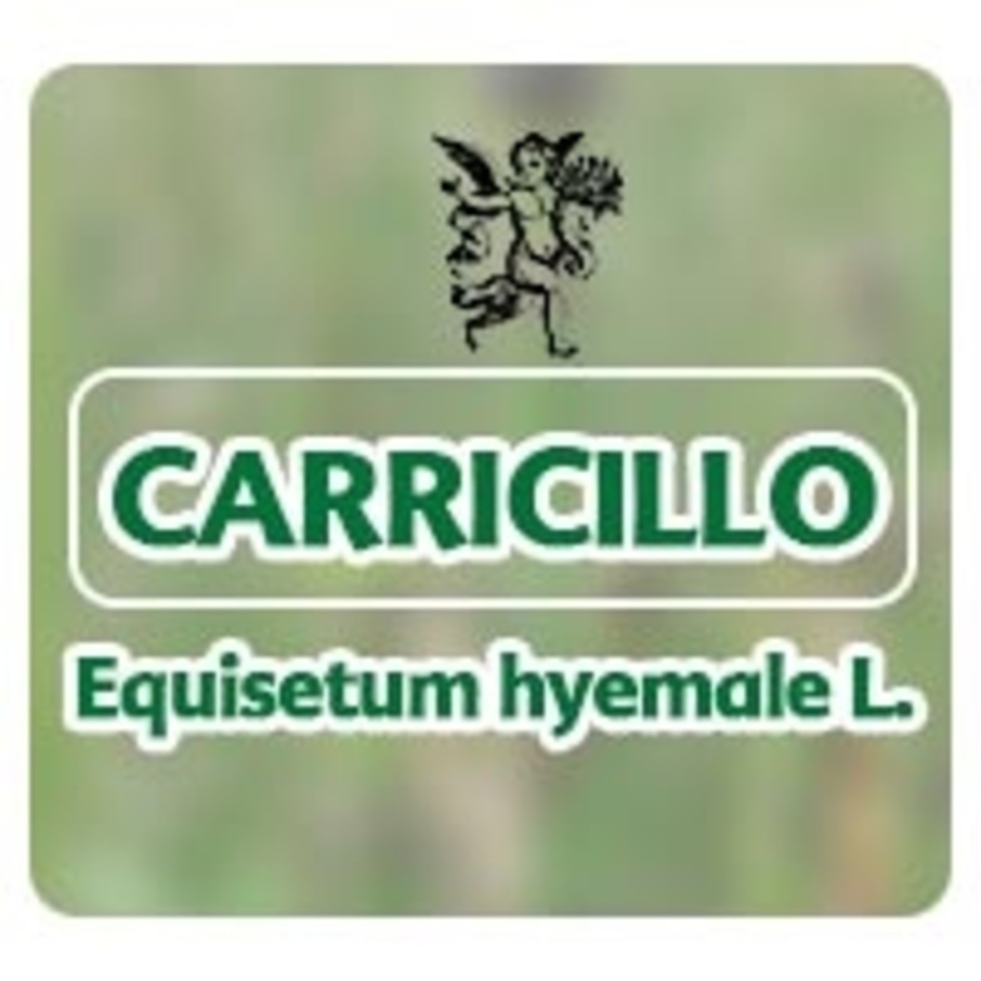 El Ángel de tu Salud - CARRICILLO** episode artwork