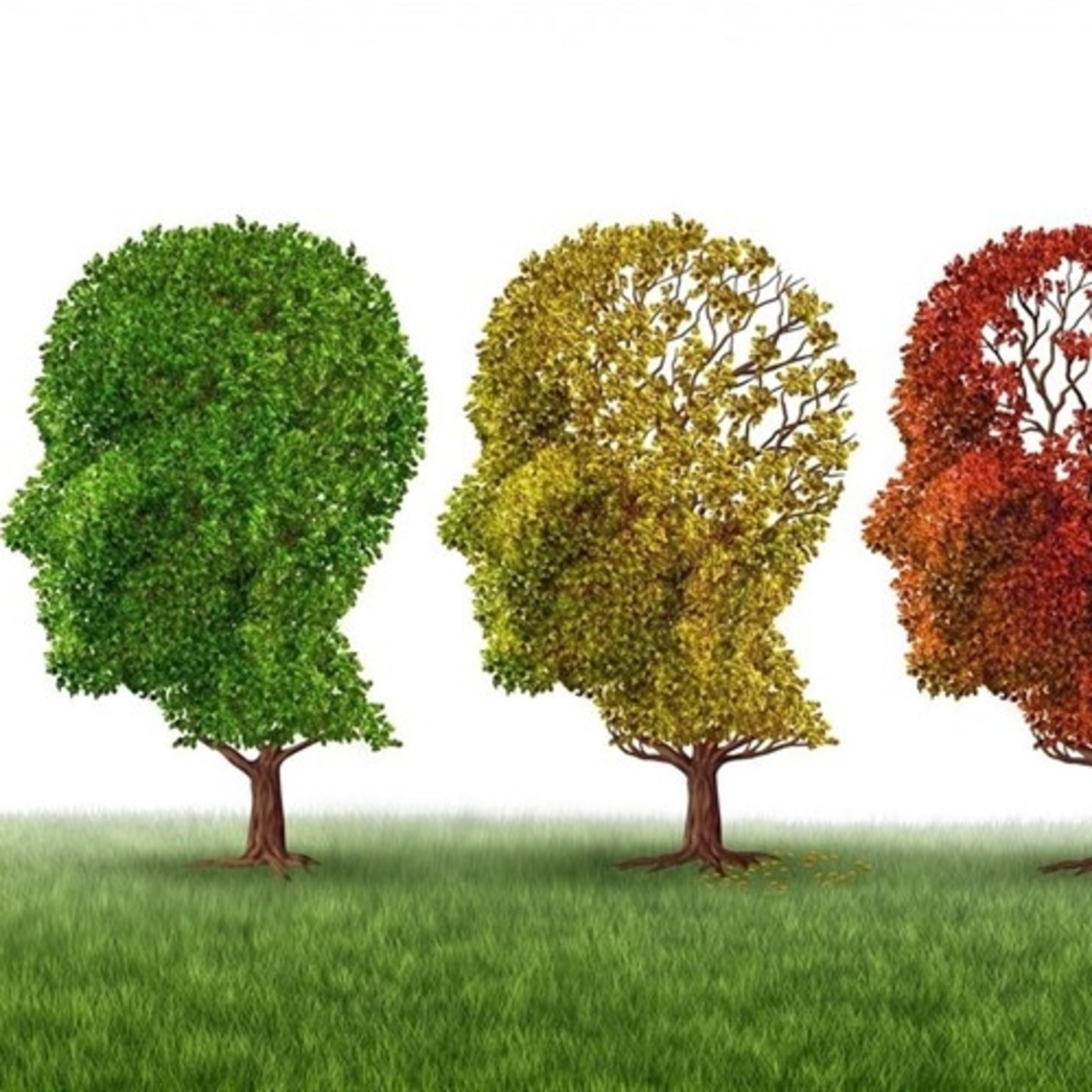 Episodio 28: Como revertir el Alzheimer