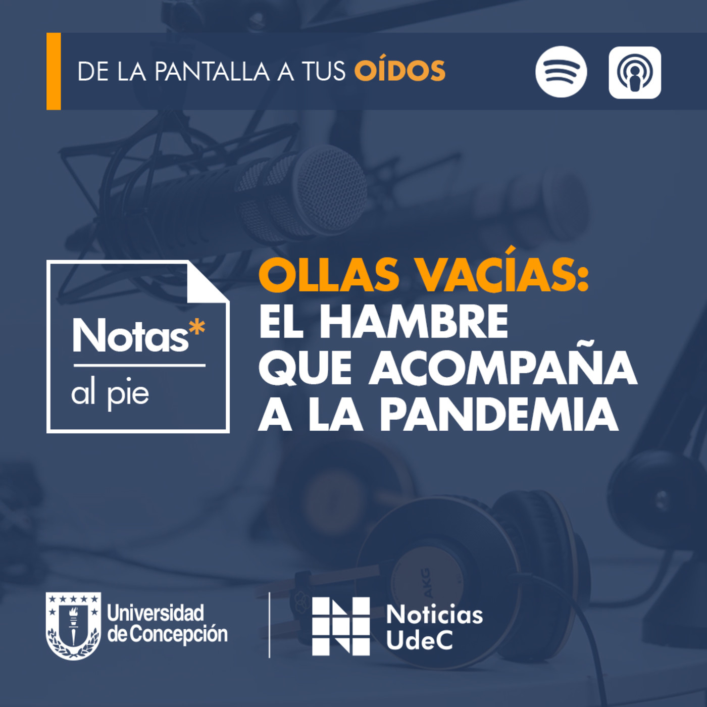 Notas al pie