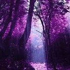 Tus pensamientos crean vida. Louise Hay.
