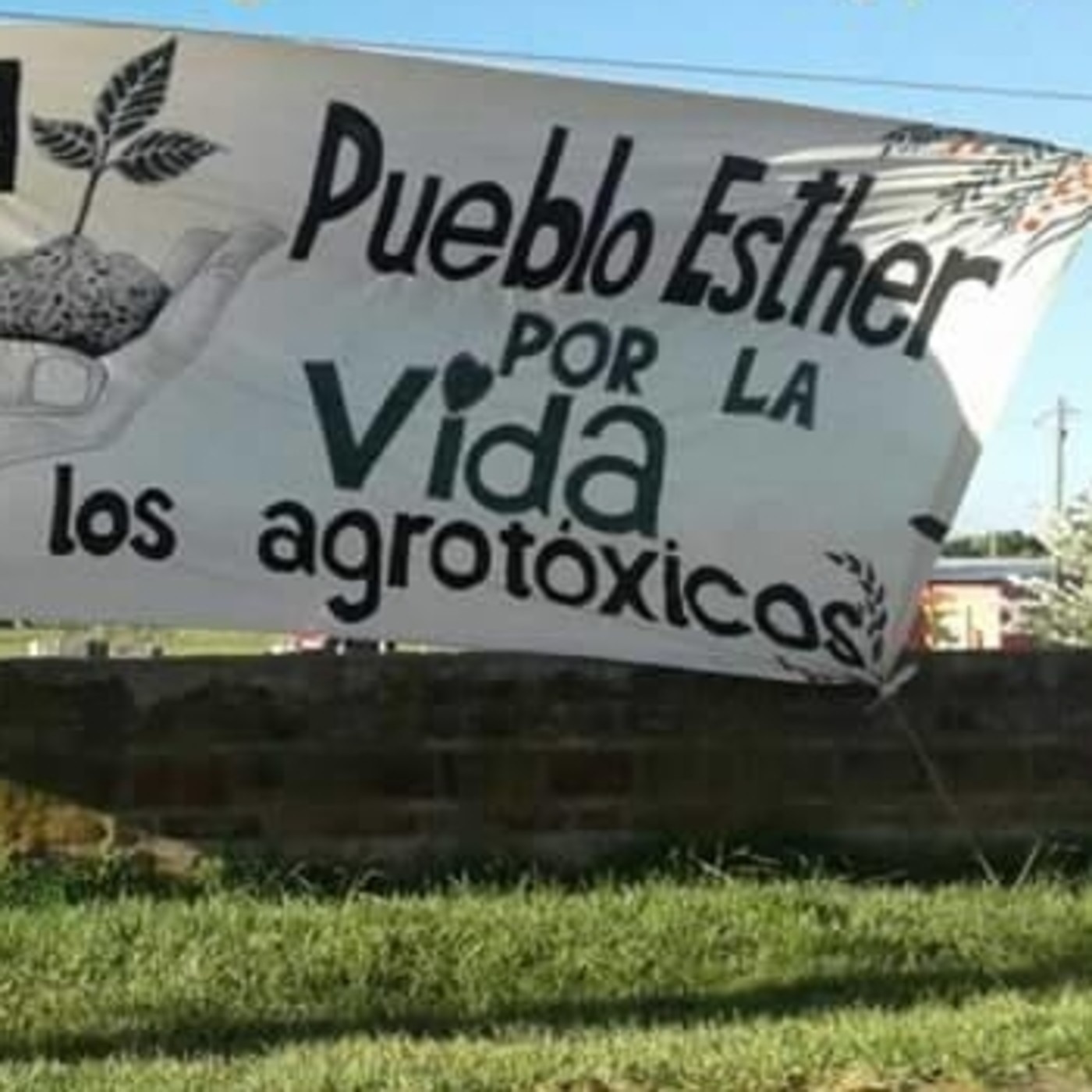 #LaSemillaRebelde 19.3.2018 #ConcienciaSolidaria #Córdoba
