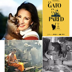 NOS FUIMOS A TAILANDIA con el veterinario Francesc Osorio// SILVIA JATO y CARACOLI// PelÍcula UN GATO EN LA PARED