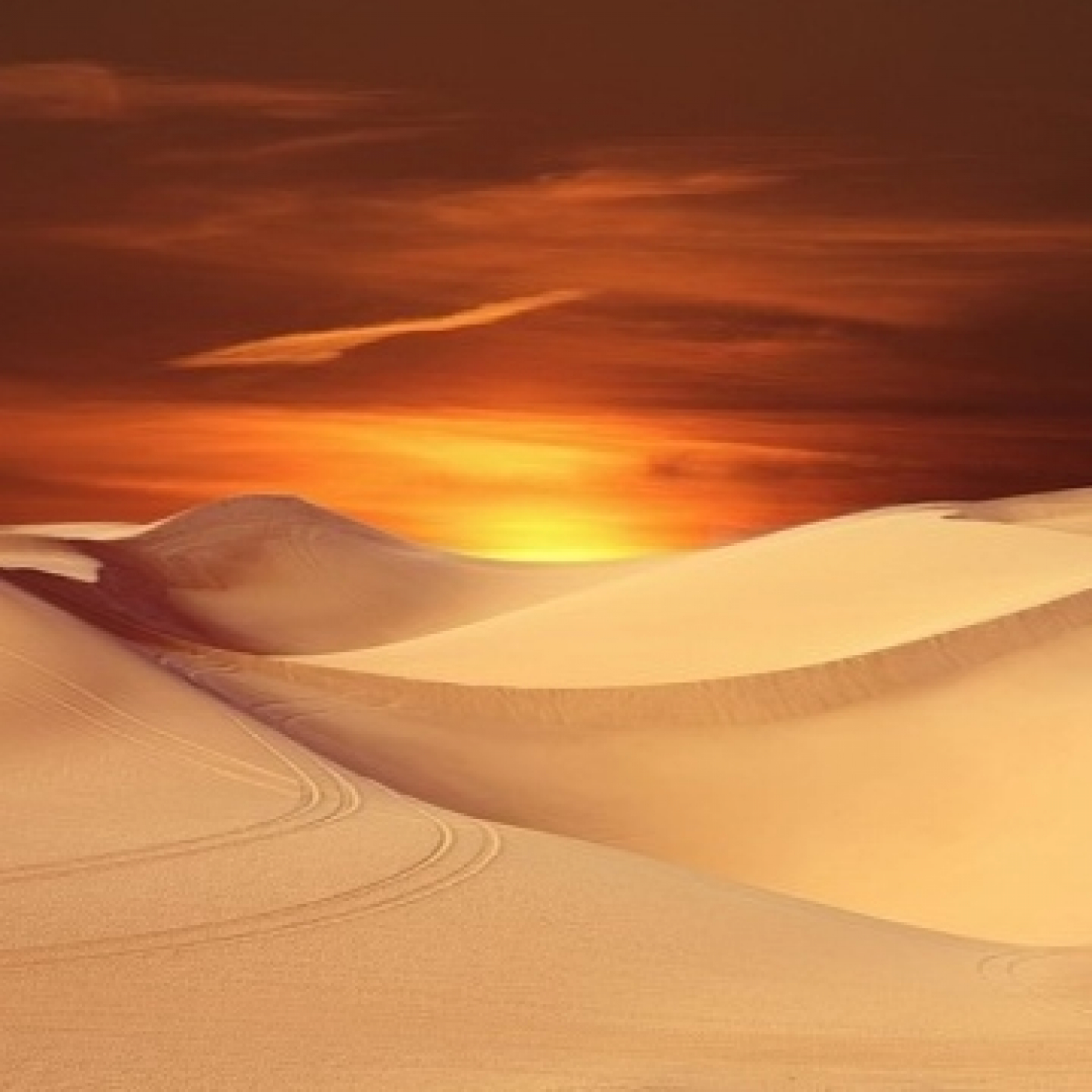 Amor entre las dunas