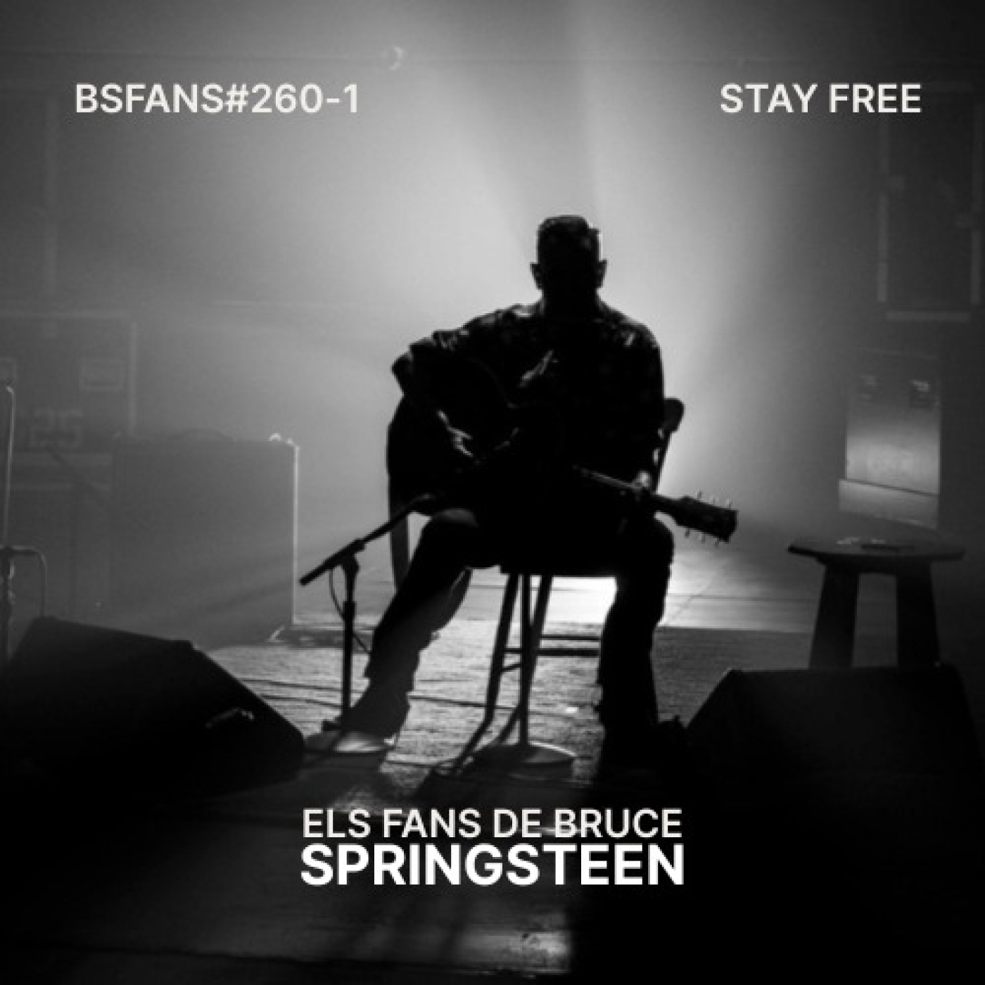 BSFANS CAP-260-1 STAY FREE episode artwork