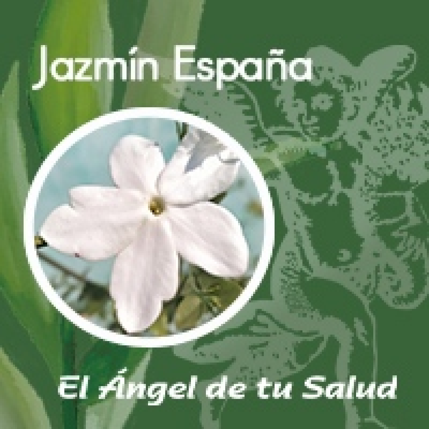 El Ángel de tu Salud - Jazmin España **