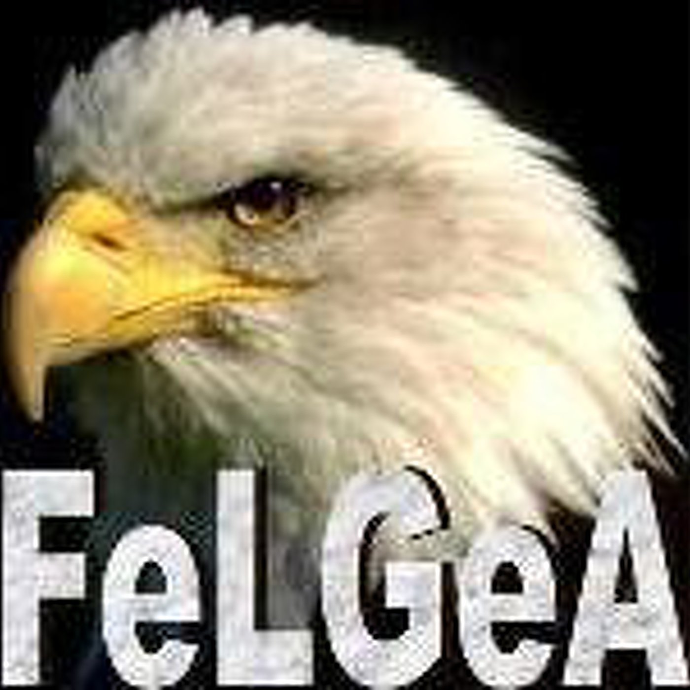 FeLGeA