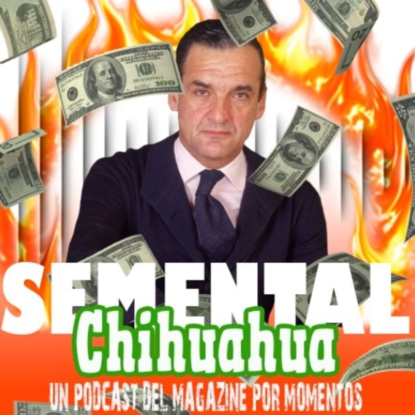 Semental Chihuahua