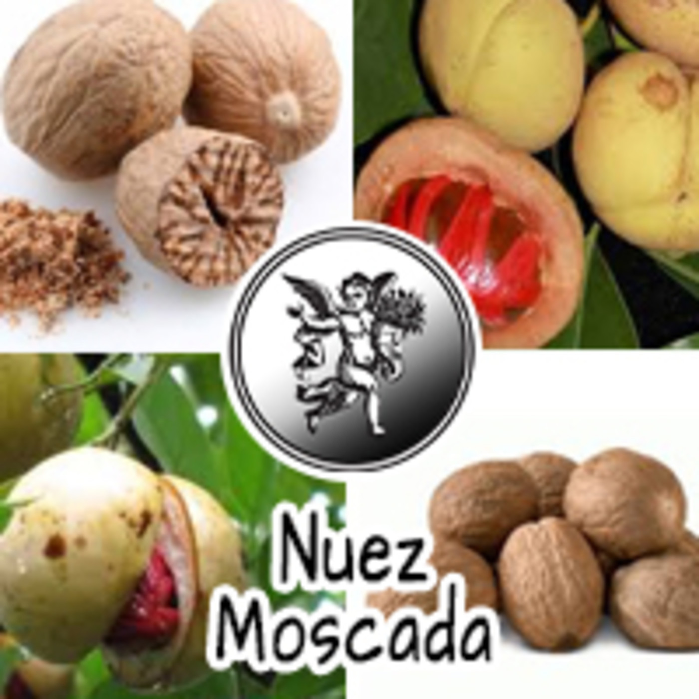 El Angel de tu Salud -NUEZ MOSCADA** episode artwork