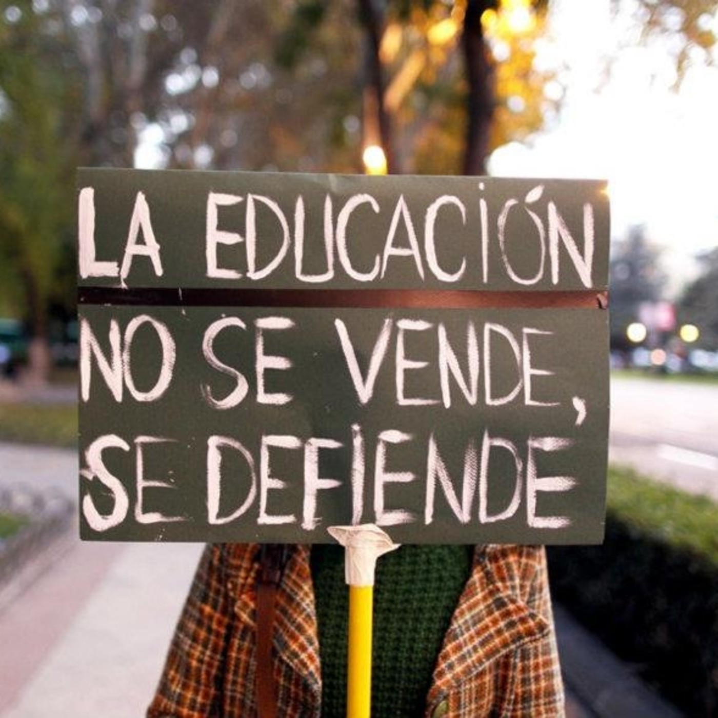 programa el puente