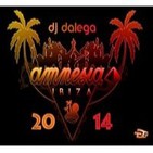 Dj Dalega - Amnesia Ibiza 2014