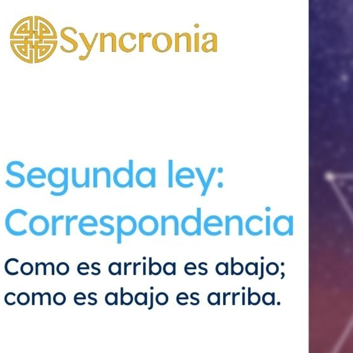 Charlas Syncronia