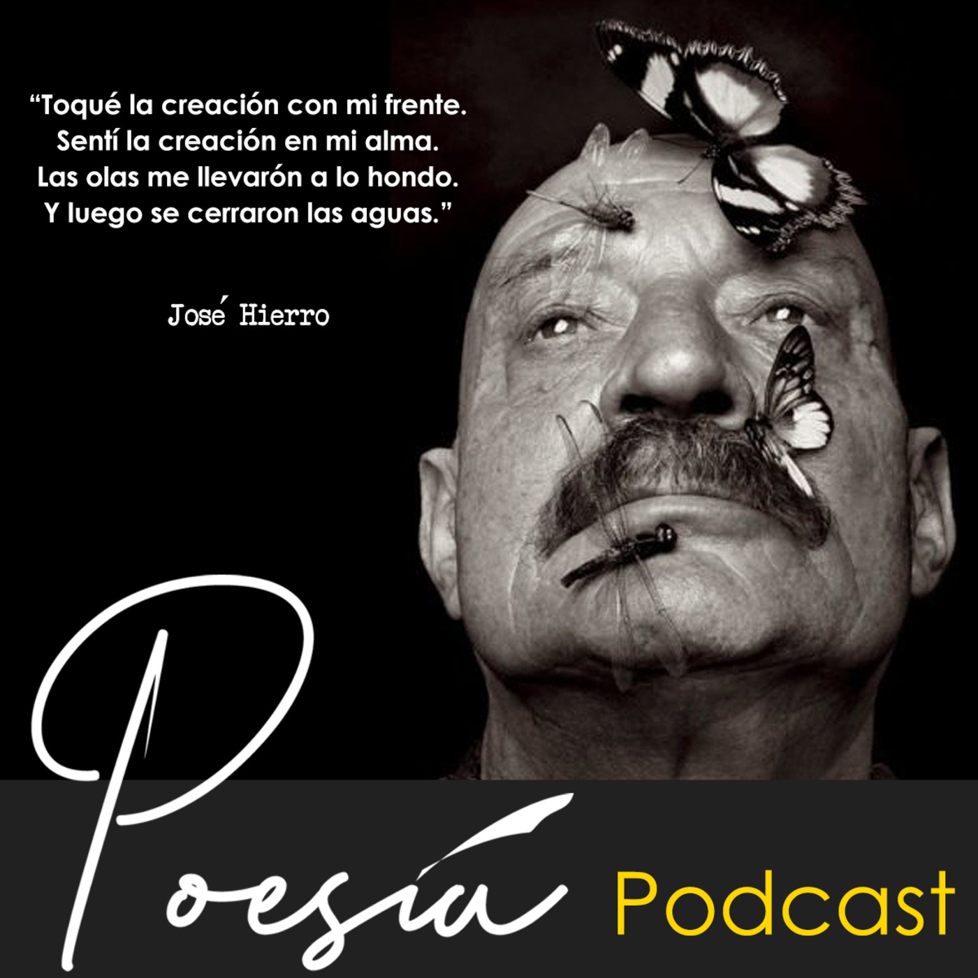 Poesía Podcast