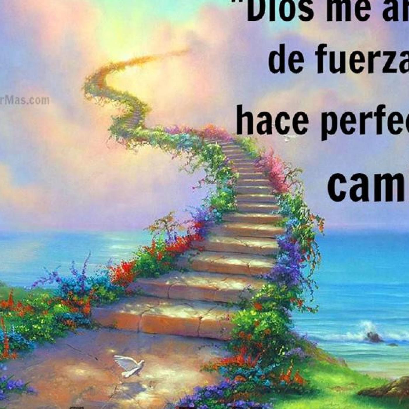 Jose Enrique Casado Cruz
