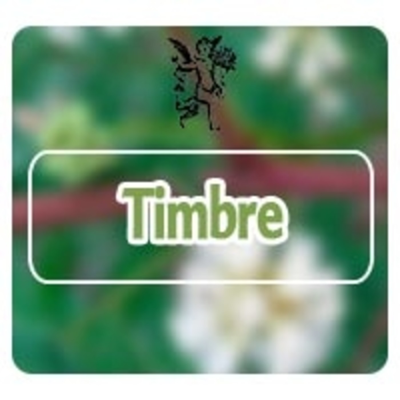El Ángel de tu Salud - TIMBRE**