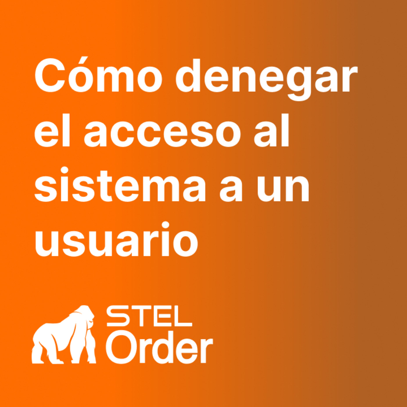 Ayuda y Soporte STEL Order