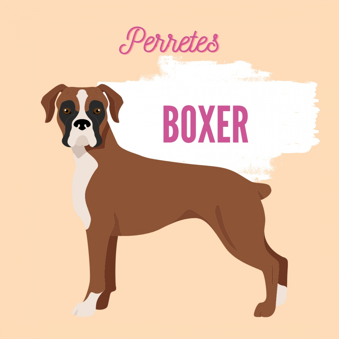 Perretes | Las razas de perros