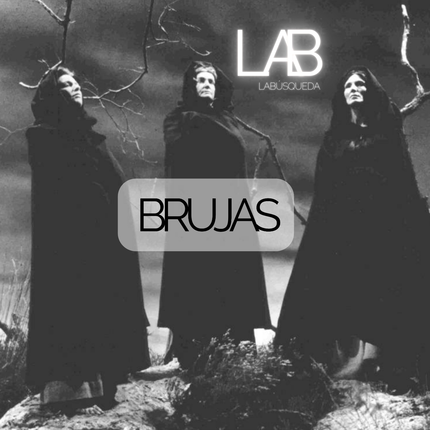 La Búsqueda. Un viaje a través del misterio