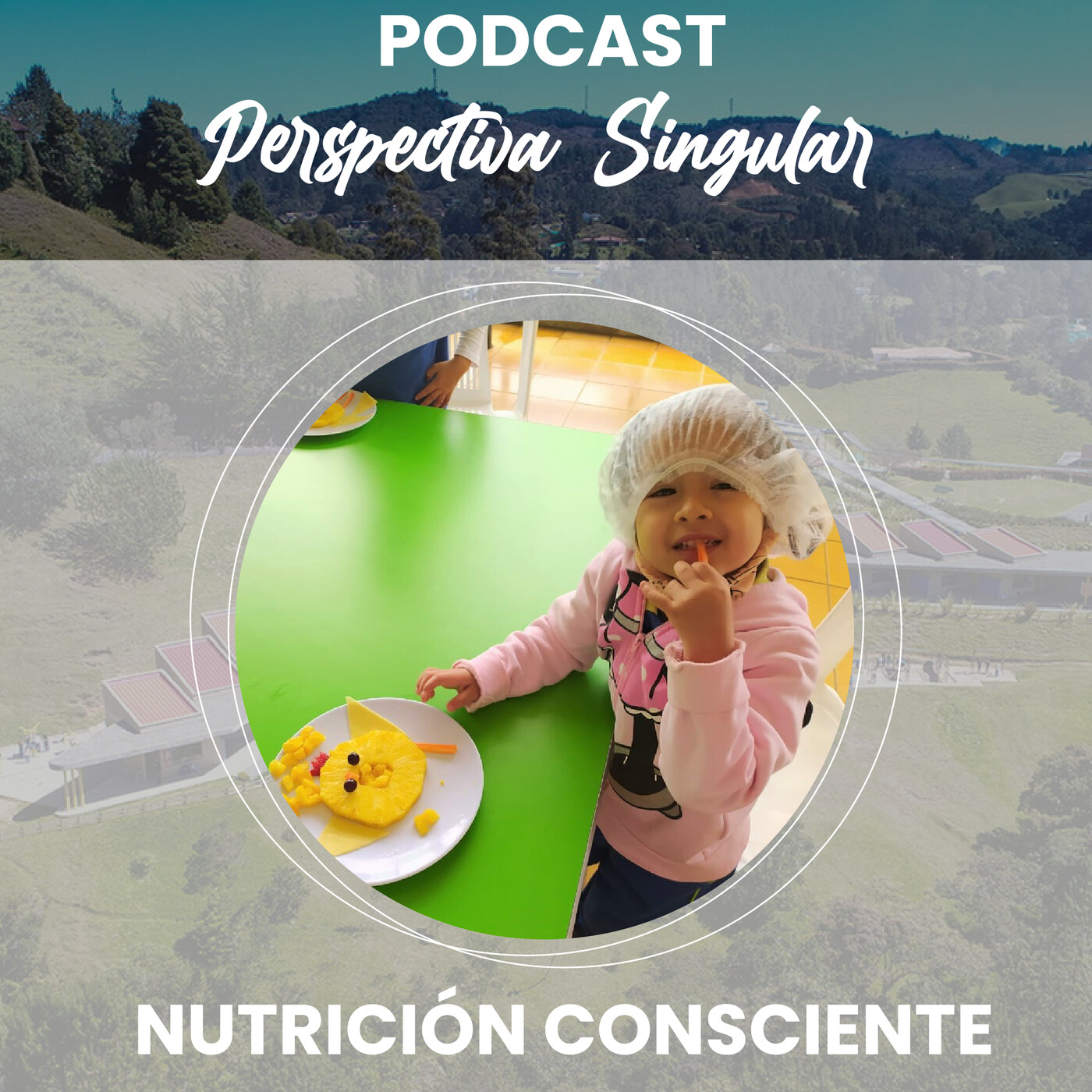 Perspectiva Singular