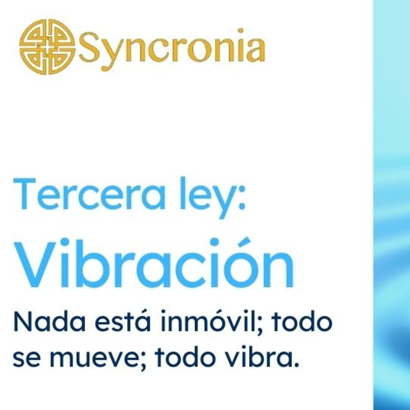 Charlas Syncronia