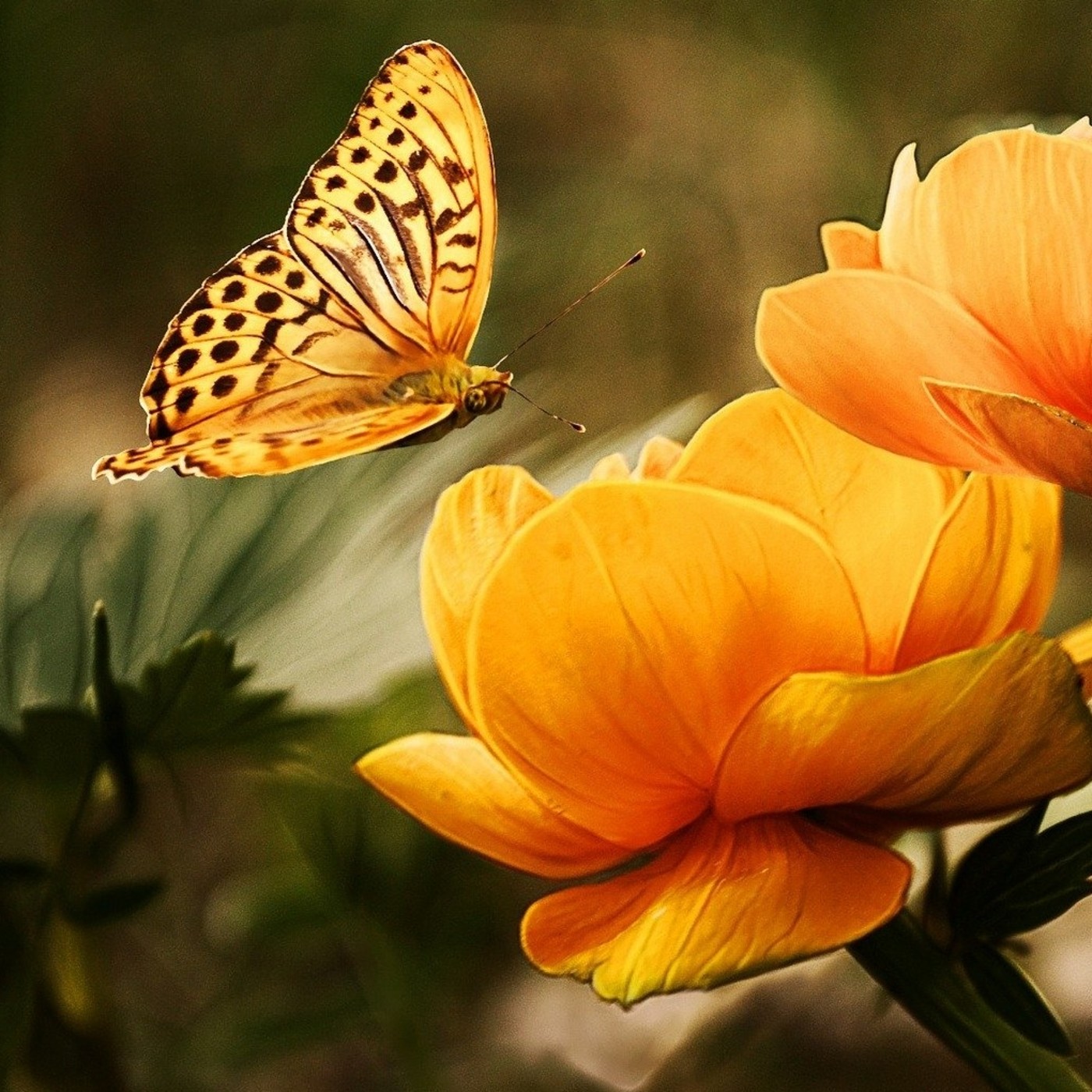 El faro de Eva Donat