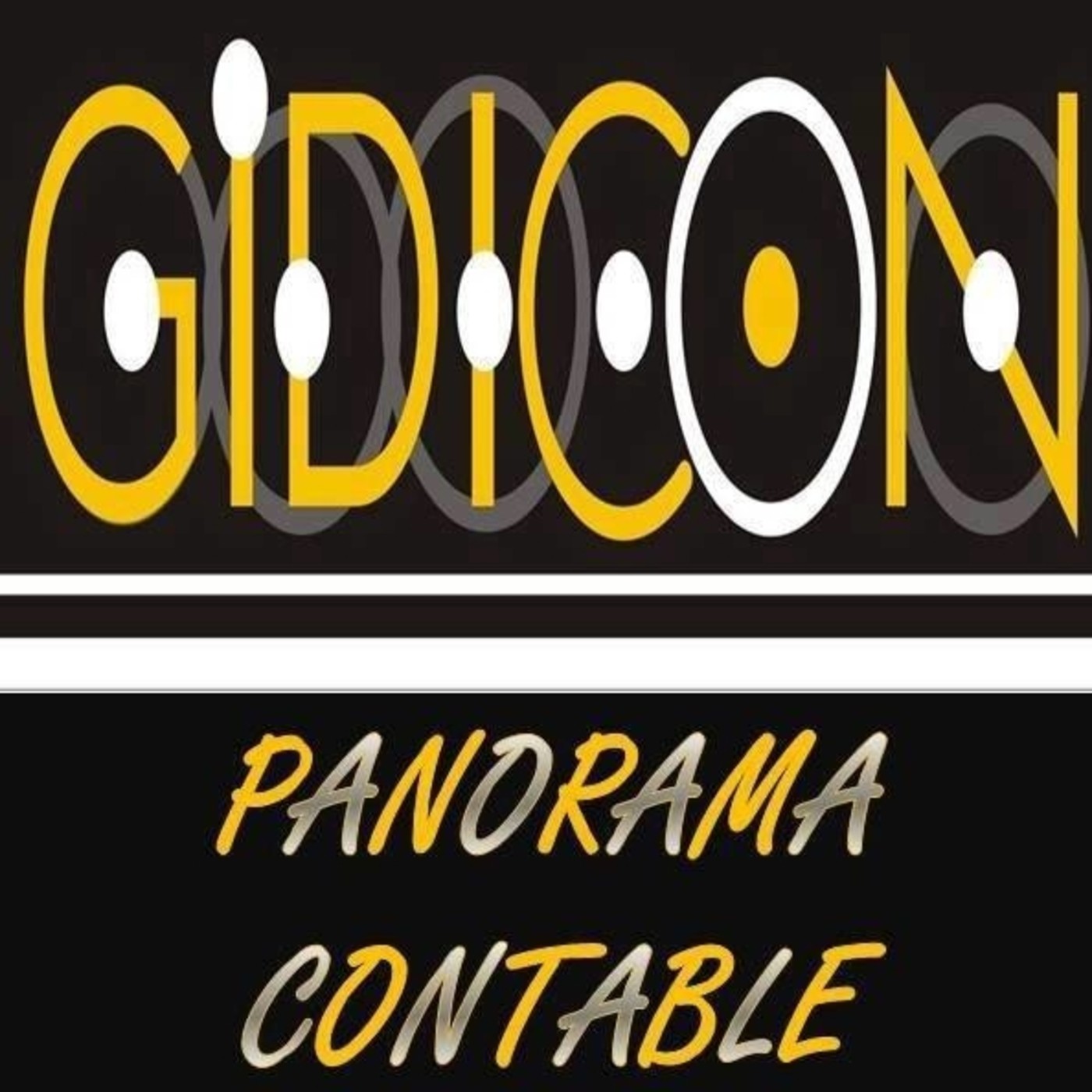 Panorama Contable