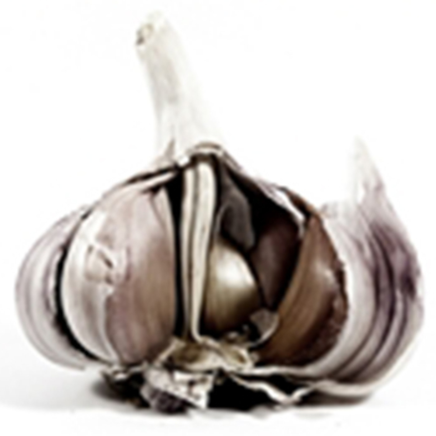 ANSÓNMIÙSIK, El Último Loco