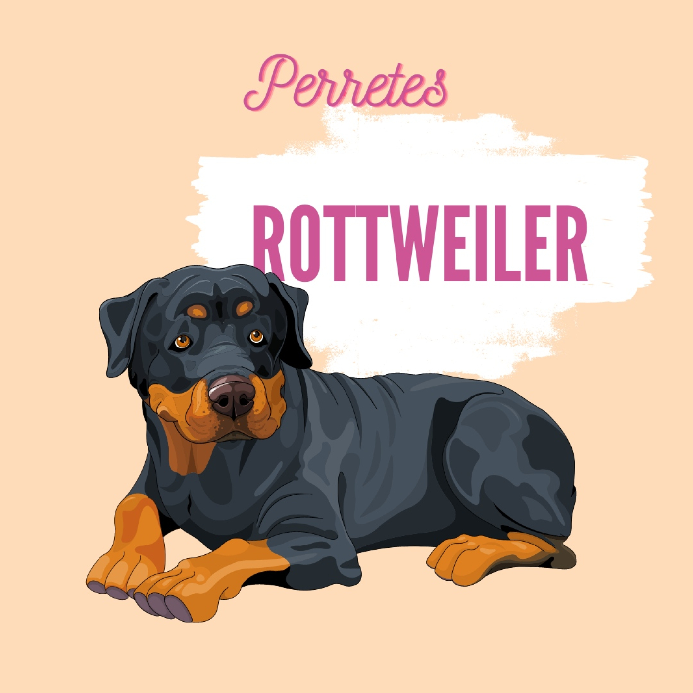 Perretes | Las razas de perros