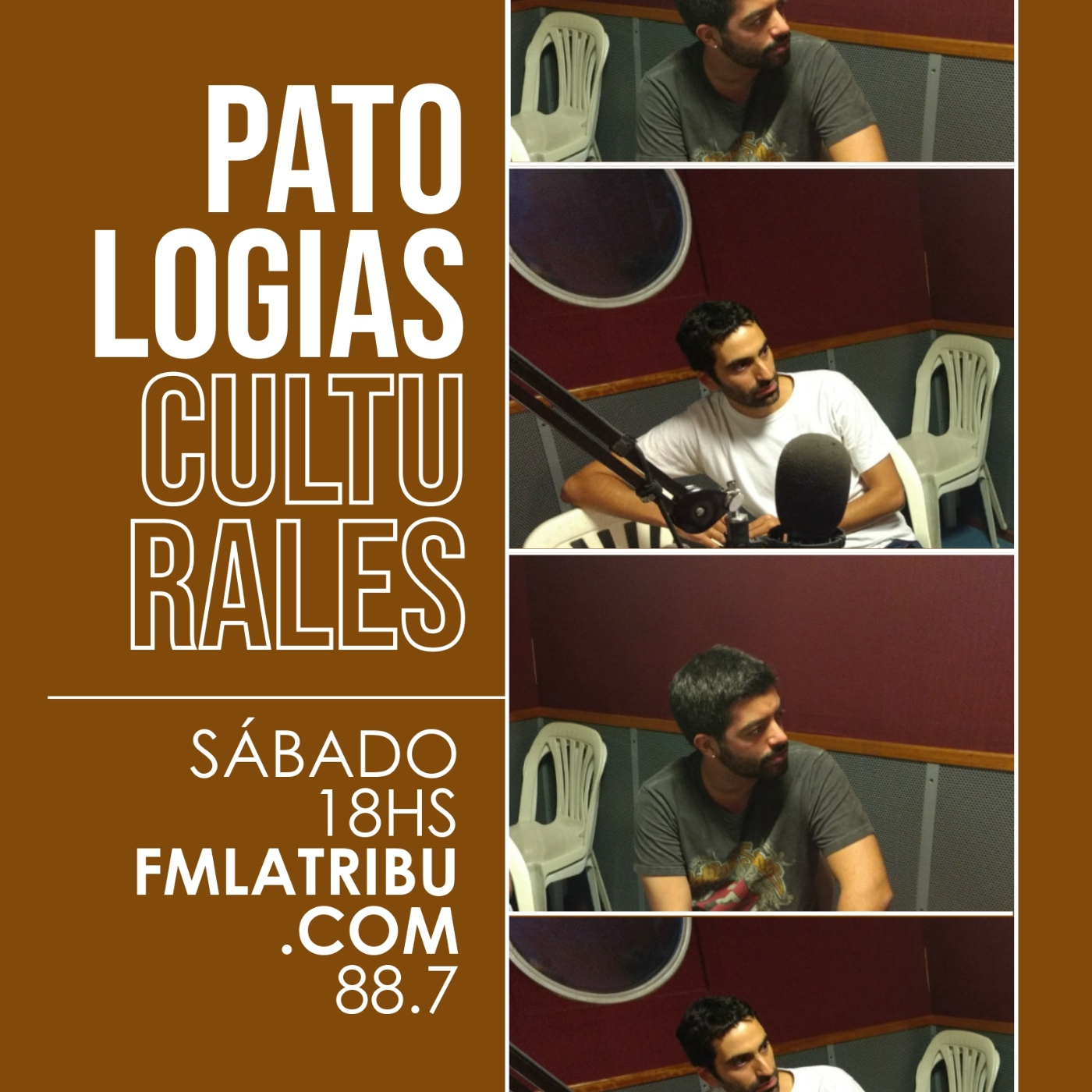 Patologías Culturales