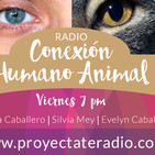 Animales poderosos los elefantes